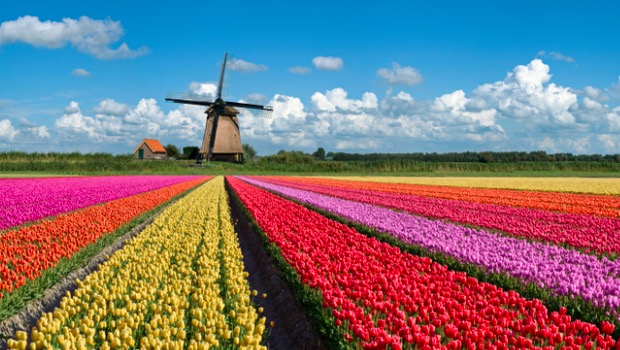 Hollanda